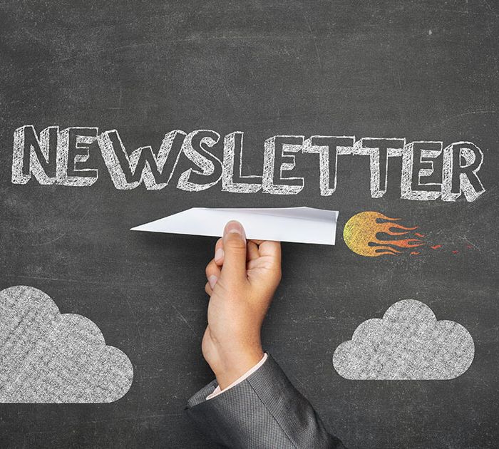 newsletter (Demo)