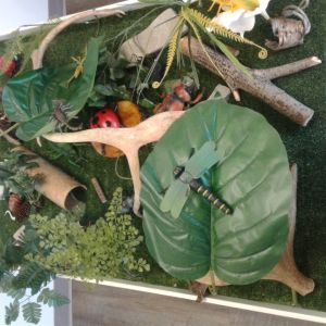 Bugs & Insects