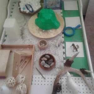 Collingwood Assortment
