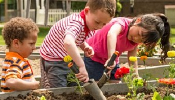 Kids Gardening