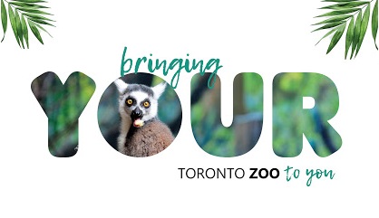 Toronto Zoo To You