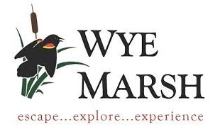 Wye Marsh